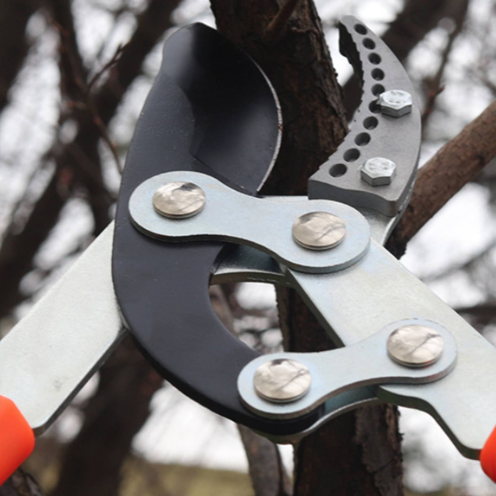 Teleskopik Dal Budama Makinele - Garden Tools incelemesi ve fiyatı